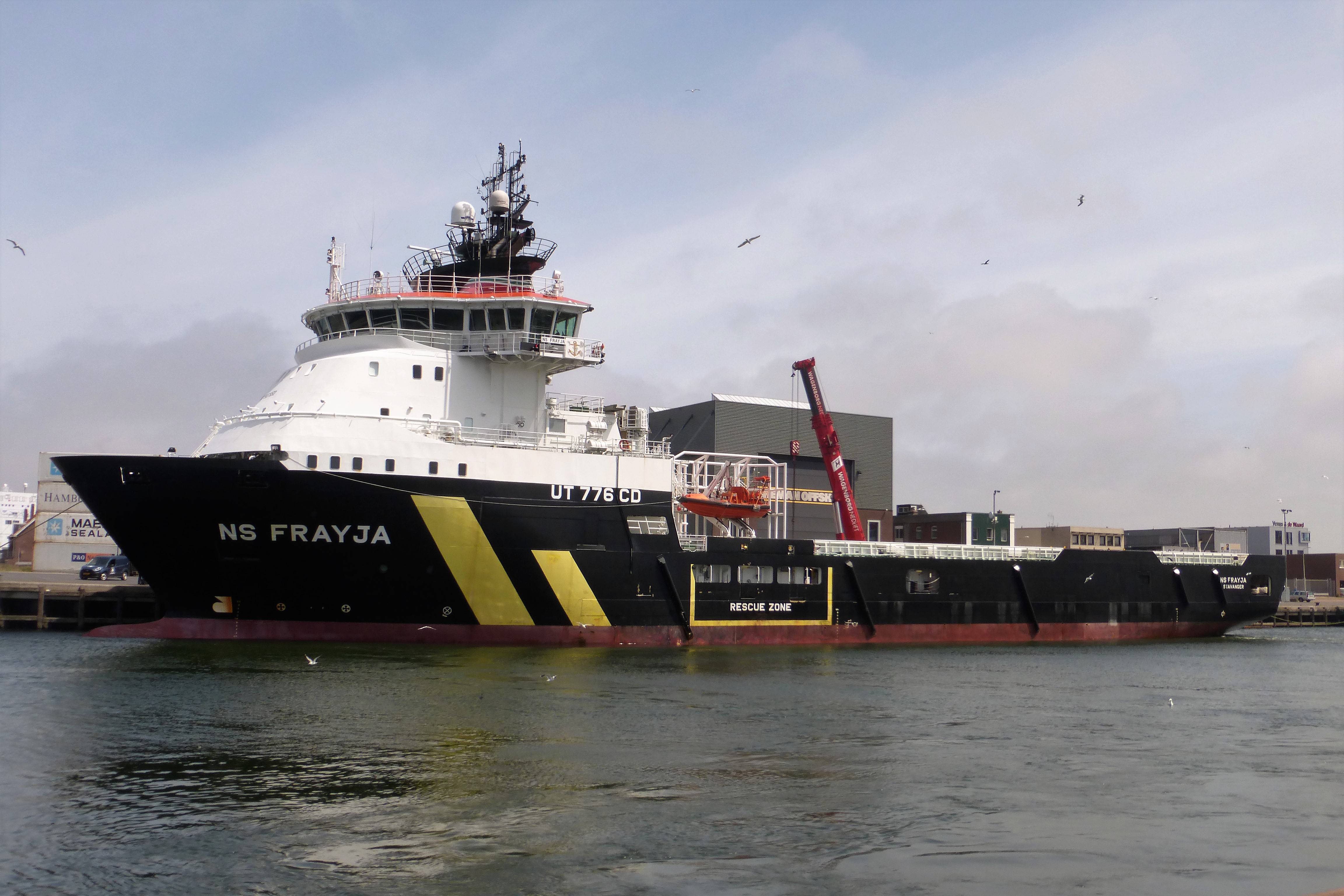 NS FRAYJA NS FRAYJA