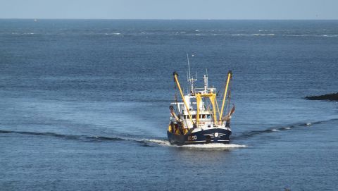 Od 50 in IJmuiden, 1 mei 2015