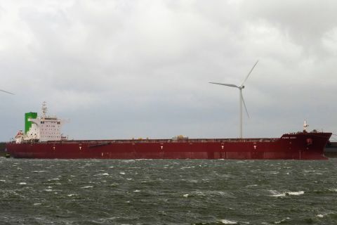 PACIFIC SOUTH in IJmuiden, 26 aug 2020