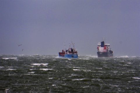 Pieren IJmuiden 26-08-20-2 in IJmuiden, 26 aug 2020