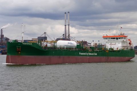 THUN EVOLVE in IJmuiden, 31 aug 2020