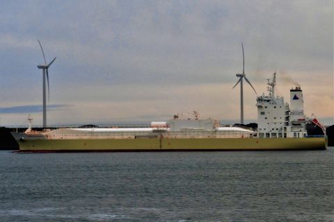 ORANGE BLOSSOM 2 in IJmuiden, 14 okt 2020