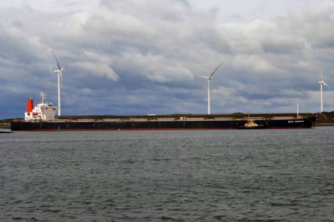 GREAT PERSEUS in IJmuiden, 14 okt 2020