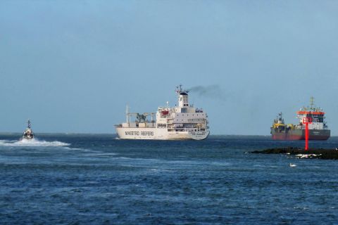 Pieren IJmuiden 22-10-20 in IJmuiden, 22 okt 2020