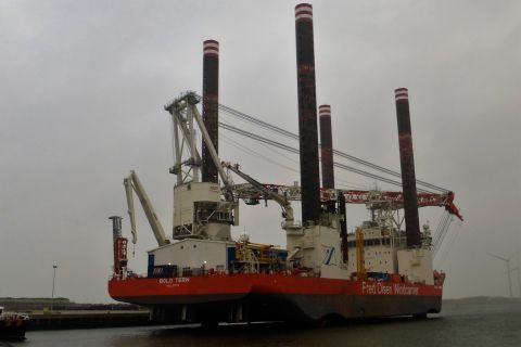 BOLD TERN in IJmuiden, 2 nov 2020