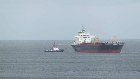 Sealing in IJmuiden, 6 mei 2015