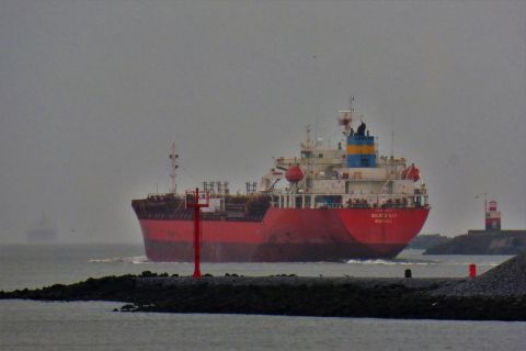 GOLDEN RAY in IJmuiden, 21 dec 2020