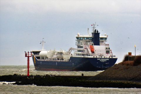 GAIA DESGAGNES in IJmuiden, 11 jan 2021