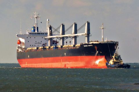 IKARIA ANGEL in IJmuiden, 12 feb 2021