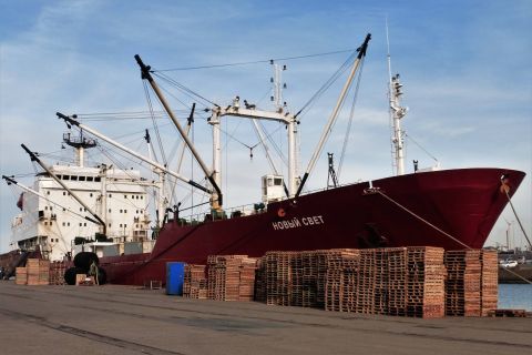 NOVIY SVET in IJmuiden, 21 feb 2021