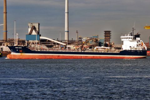 WISBY VERITY in IJmuiden, 24 feb 2021