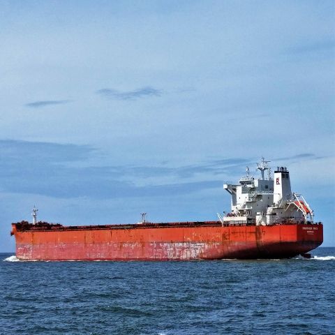PANTHER MAX in IJmuiden, 4 jul 2021