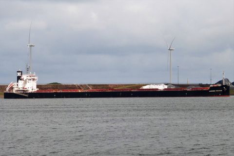 LAURENCE FRANCOISE in IJmuiden, 5 jul 2021