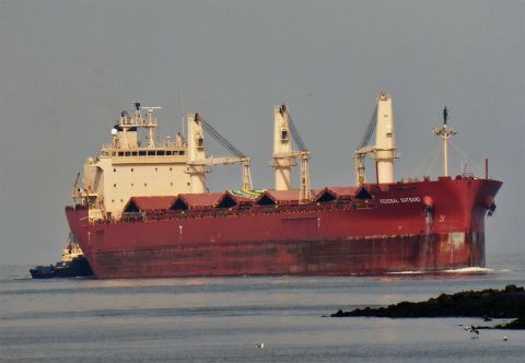 FEDERAL SATSUKI in IJmuiden, 10 jul 2021