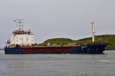 Nephrite in IJmuiden, 19 jul 2021