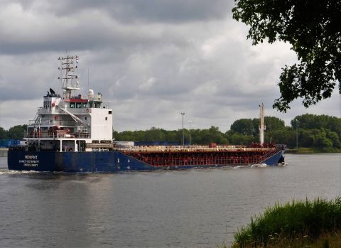 Nephrite in IJmuiden, 19 jul 2021