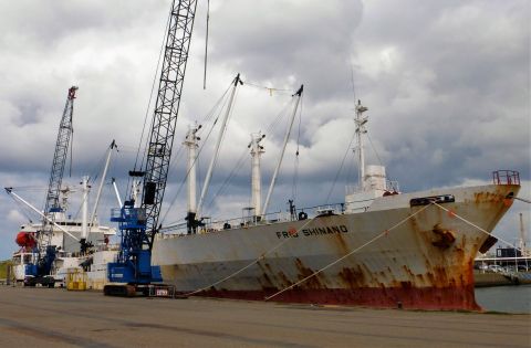 FRIO SHINANO in IJmuiden, 28 aug 2021