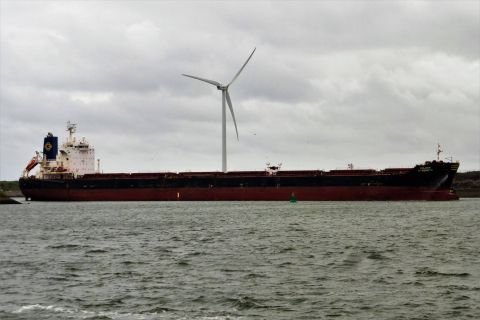 GOLDEN STRENGHT in IJmuiden, 29 aug 2021