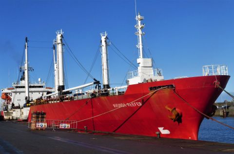 AVUNDA REEFER in IJmuiden, 13 nov 2021