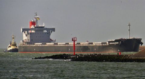 LOTUS BLOSSOM in IJmuiden, 18 nov 2021