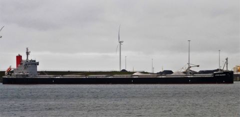 LOTUS BLOSSOM in IJmuiden, 18 nov 2021