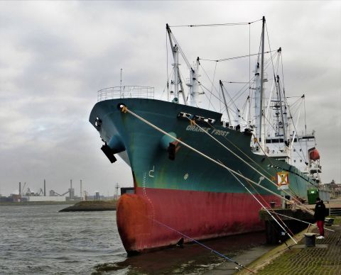 ORANGE FROST in IJmuiden, 2 jan 2022