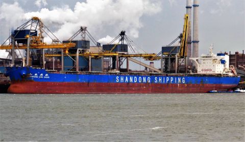 SHANDONG DING SHENG