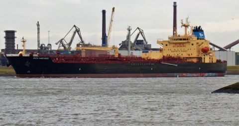 RICH HARVEST in IJmuiden, 24 feb 2022