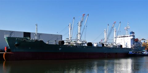 ORANGE ICE in IJmuiden, 7 mrt 2022