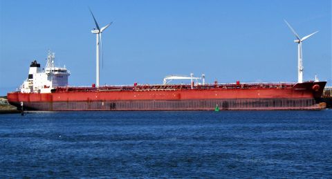 ORTOLAN COCO in IJmuiden, 8 mei 2022