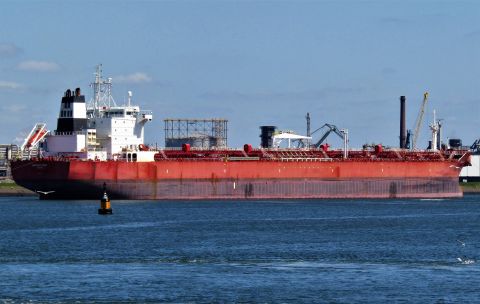 ORTOLAN COCO in IJmuiden, 8 mei 2022