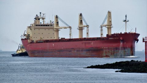 FEDERAL MAYUMI in IJmuiden, 31 mei 2022