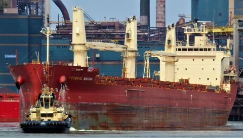 FEDERAL MAYUMI in IJmuiden, 31 mei 2022