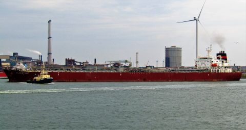 FLAGSHIP TULIP in IJmuiden, 5 jun 2022
