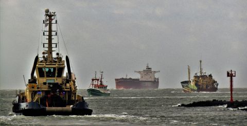 Pieren IJmuiden 05-10-22 in IJmuiden, 5 okt 2022