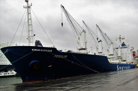 FEGULUS in IJmuiden, 6 nov 2022