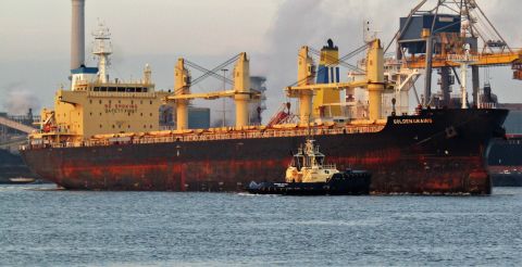 GOLDEN GRAINS in IJmuiden, 11 nov 2022