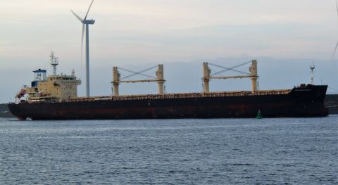 GOLDEN GRAINS in IJmuiden, 11 nov 2022