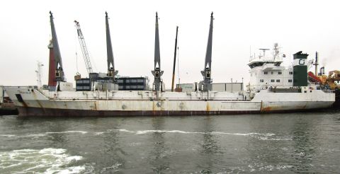 Green Selje in IJmuiden, 29 mrt 2023