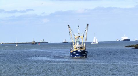 Pieren IJmuiden 03-05-23-2 in IJmuiden, 3 mei 2023