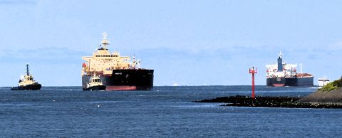 Pieren IJmuiden 20-07-23 in IJmuiden, 20 jul 2023
