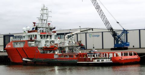 TRAFALGAR SENTINEL in IJmuiden, 31 jan 2024