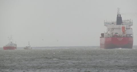 Pieren IJmuiden 05-02-24 in IJmuiden, 5 feb 2024