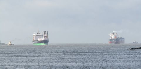 Pieren IJmuiden 10-02-24 in IJmuiden, 10-02-24