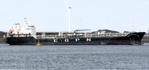 EASTERN SPIRAEA in IJmuiden, 13 apr 2024