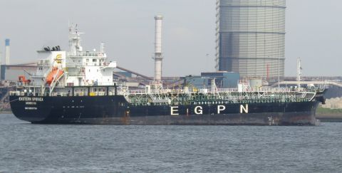 EASTERN SPIRAEA in IJmuiden, 13 apr 2024