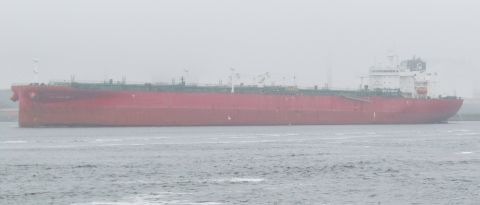STI GALLANTRY in IJmuiden, 17 mei 2024