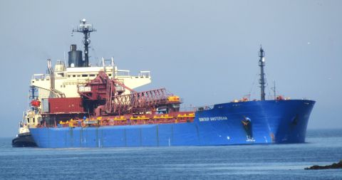 BONTRUP AMSTERDAM in IJmuiden, 26 jun 2024