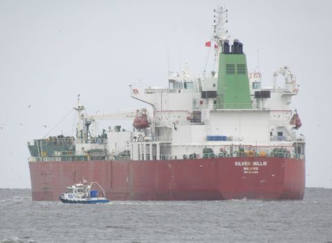 SILVER MILLIE in IJmuiden, 2 jul 2024