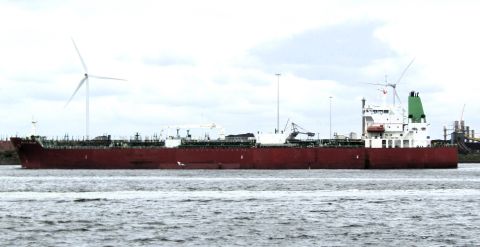 SILVER MILLIE in IJmuiden, 2 jul 2024